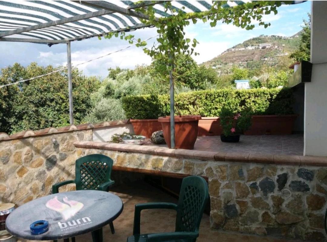Villa Mola Bed And Breakfast Corbara  Kültér fotó