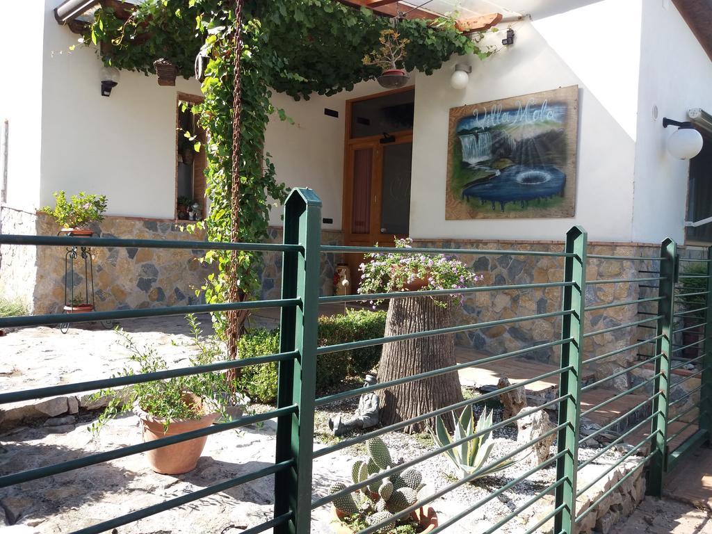 Villa Mola Bed And Breakfast Corbara  Kültér fotó